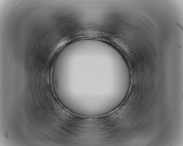 X0000096161451200801180841