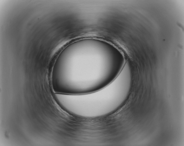 X0000096161452200801180841