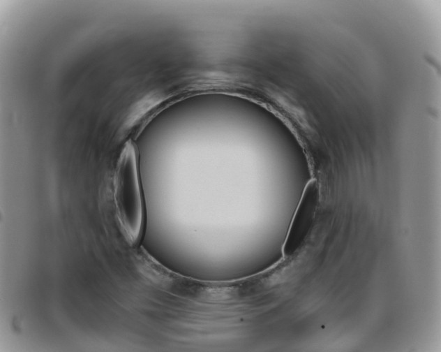 X0000096161453200801180841