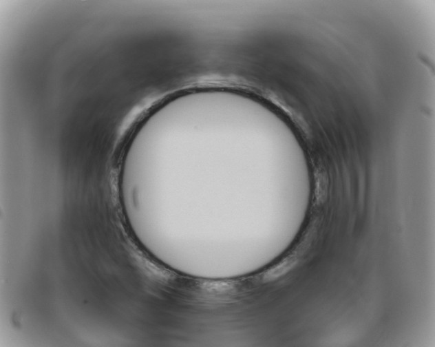 X0000096161454200801180841