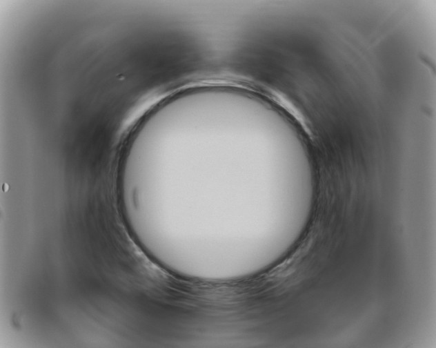X0000096161456200801180841