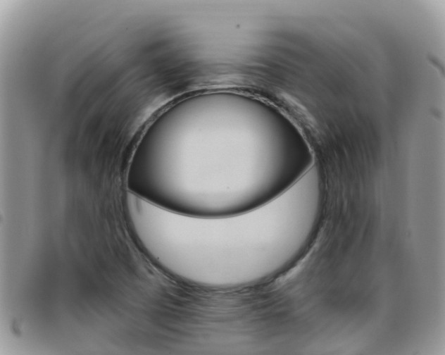 X0000096161457200801180841