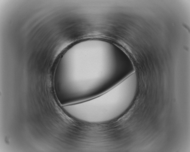 X0000096161458200801180841