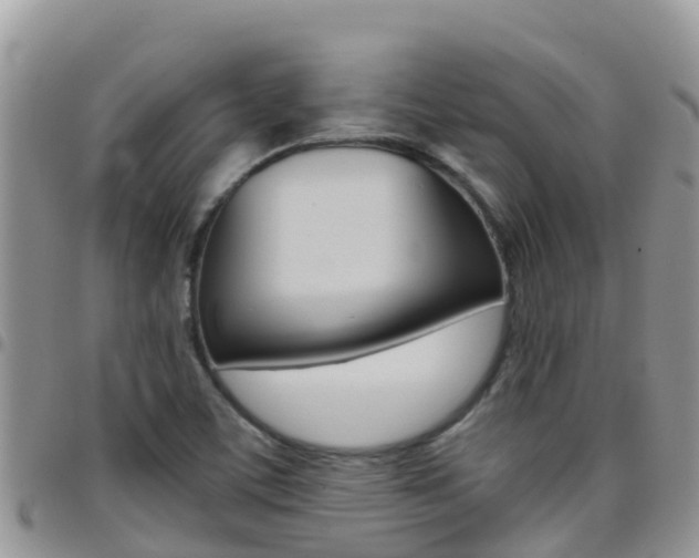 X0000096161459200801180841