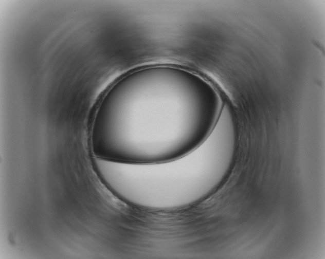 X0000096161460200801180841