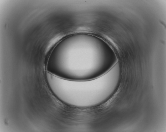 X0000096161461200801180840