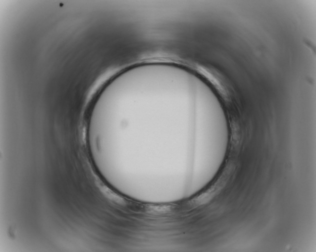 X0000096161462200801180840