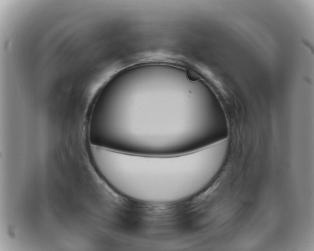 X0000096161463200801180840