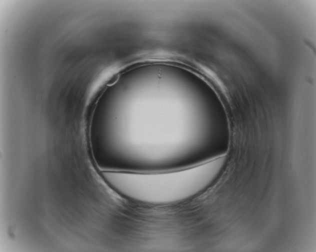 X0000096161464200801180840