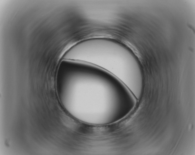 X0000096161465200801180840