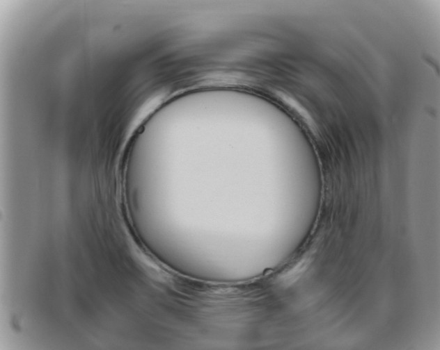 X0000096161467200801180840