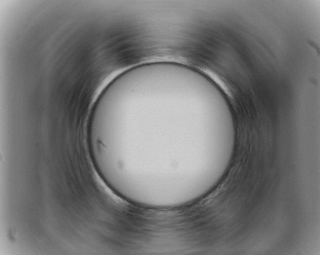 X0000096161468200801180840