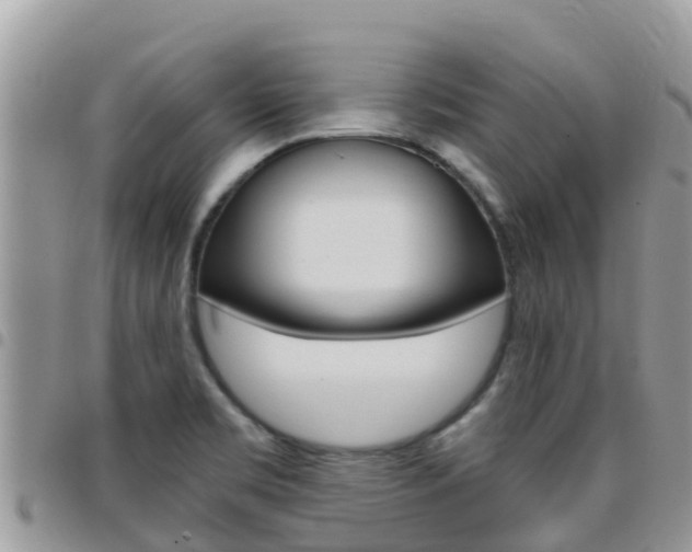 X0000096161469200801180840