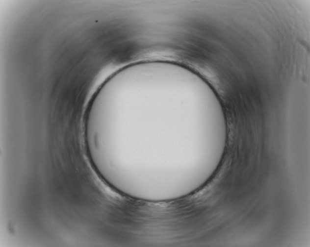 X0000096161470200801180840