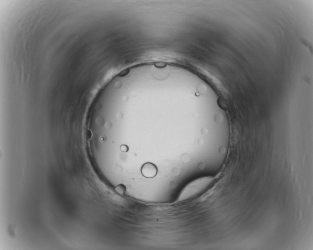 X0000096161471200801180840