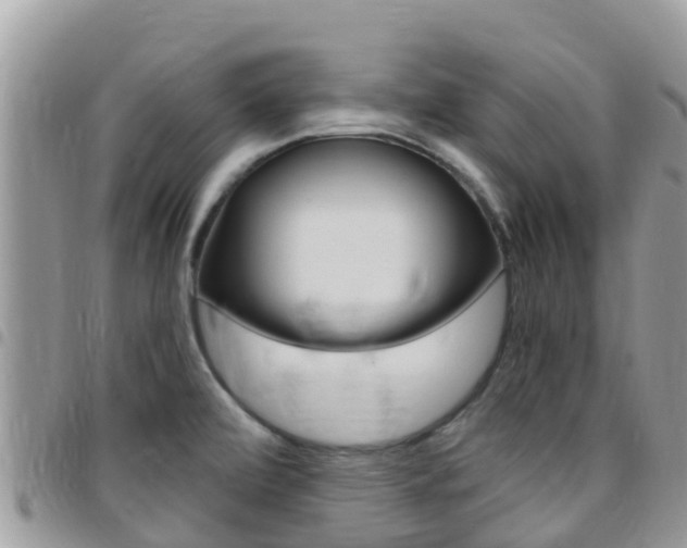 X0000096161472200801180840