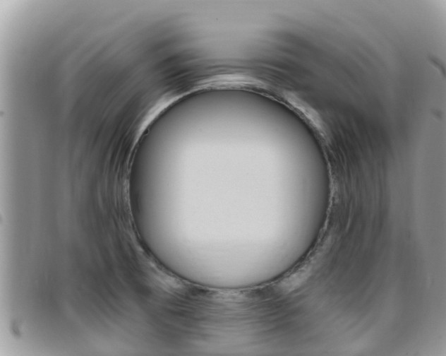 X0000096161473200801180840