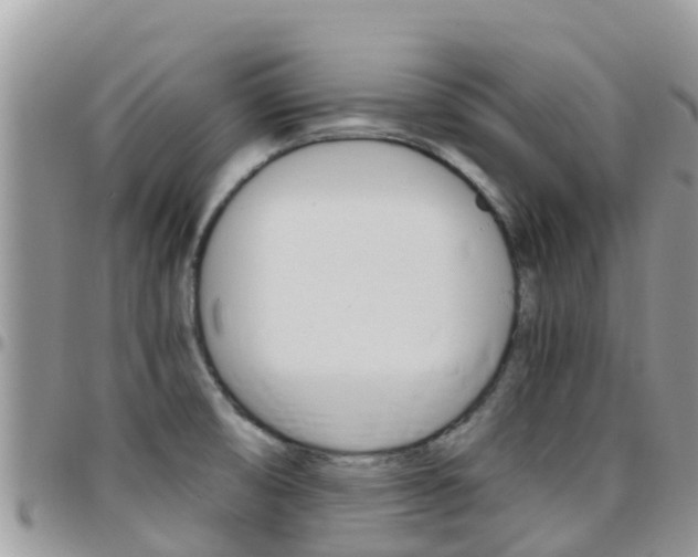 X0000096161474200801180840