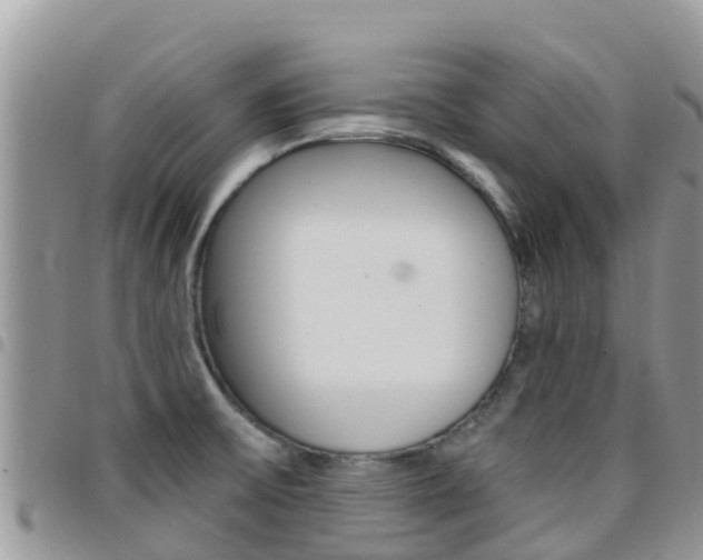 X0000096161475200801180840