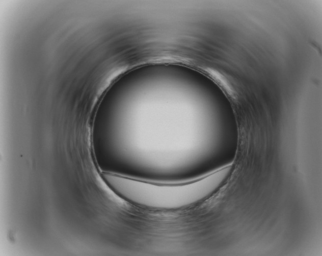 X0000096161476200801180840