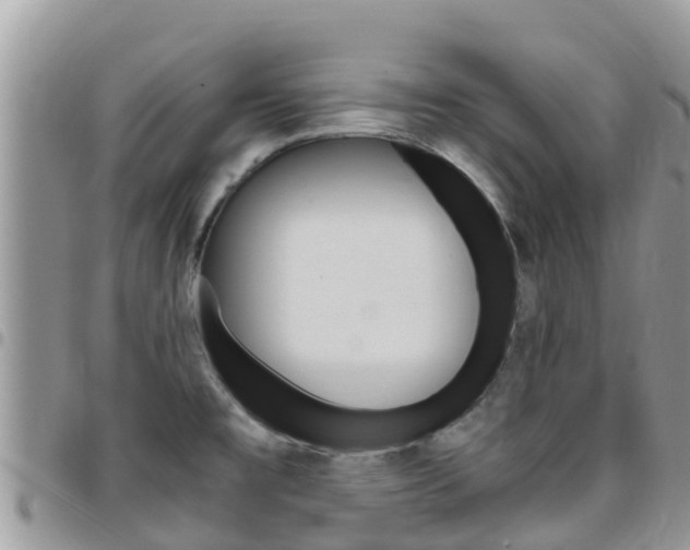 X0000096161477200801180840