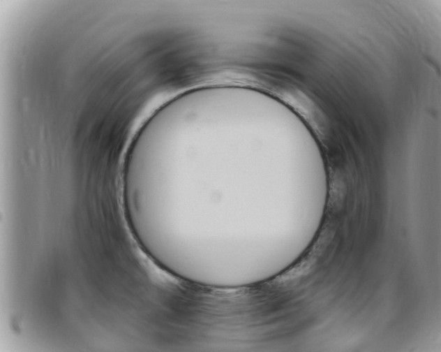 X0000096161478200801180840
