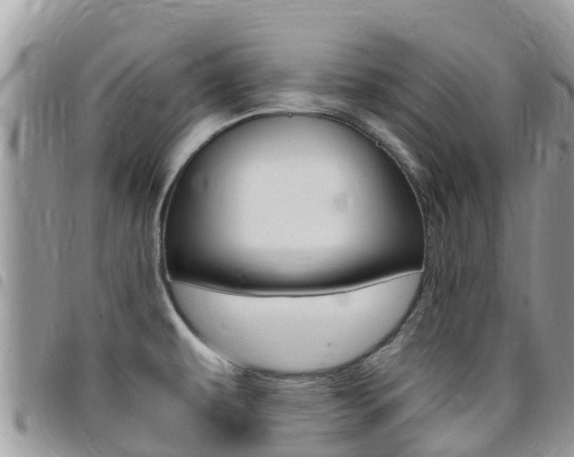 X0000096161479200801180840