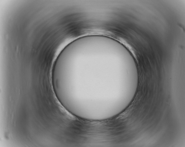 X0000096161480200801180840