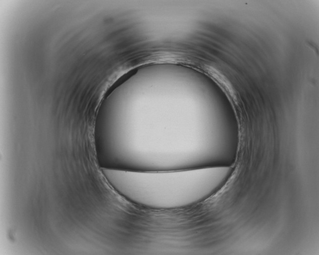 X0000096161481200801180840