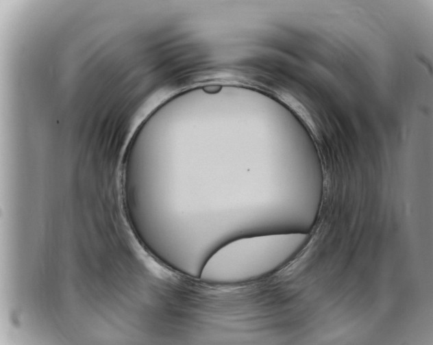 X0000096161482200801180840