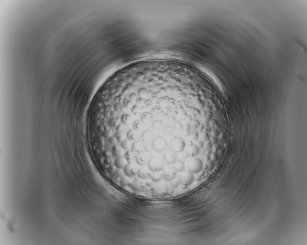 X0000096161483200801180840