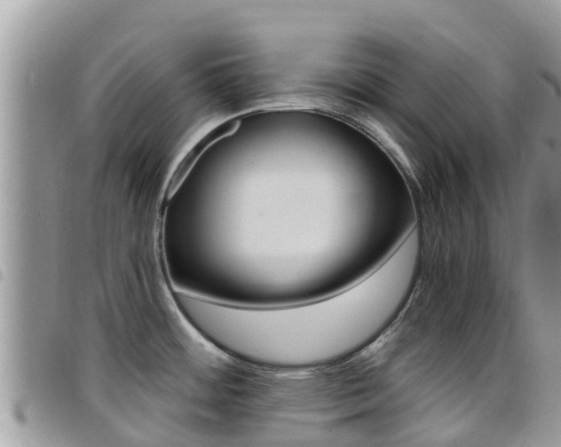 X0000096161484200801180840