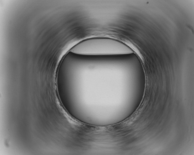 X0000096161485200801180840