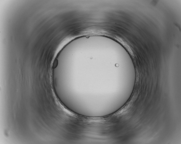 X0000096161486200801180840