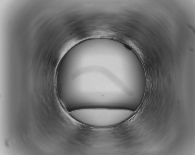 X0000096161487200801180840