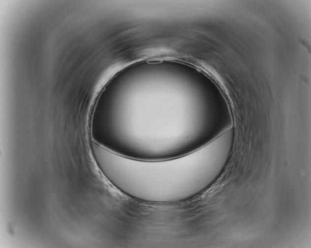 X0000096161488200801180840
