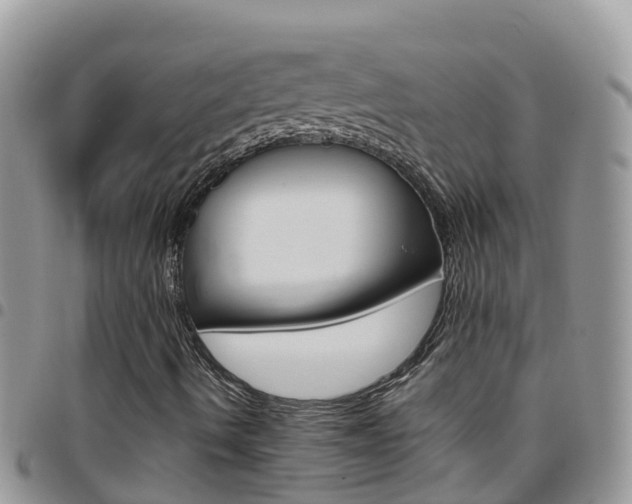 X0000096161490200801180839