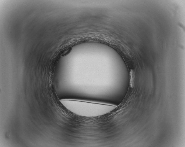 X0000096161491200801180840