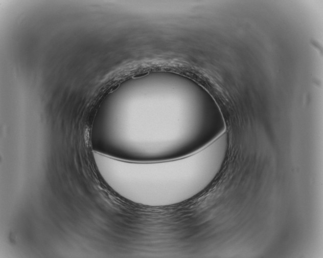 X0000096161492200801180840