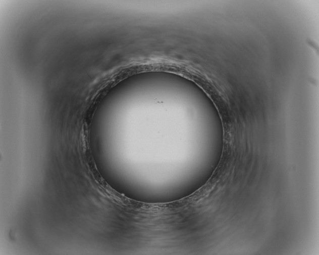 X0000096161493200801180840