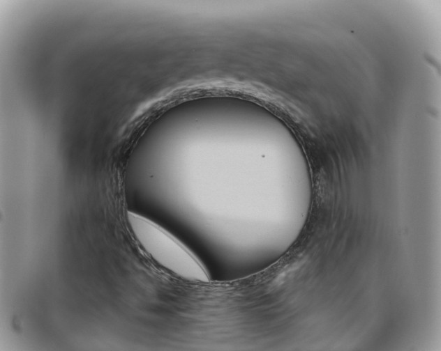 X0000096161494200801180840