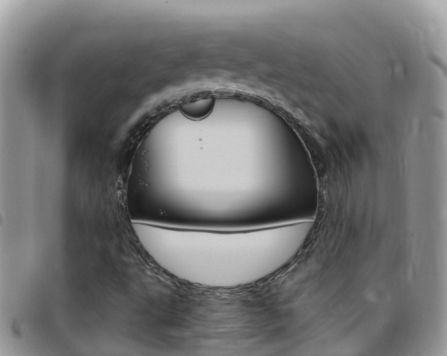 X0000096161495200801180840