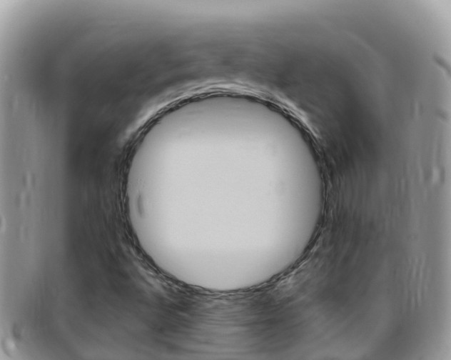 X0000096161496200801180840