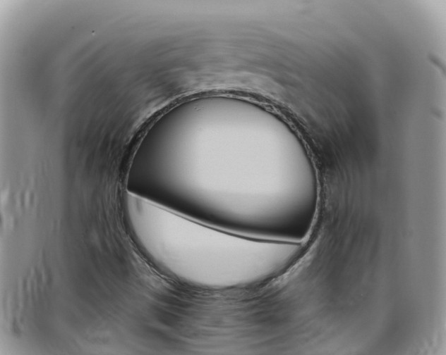 X0000096161497200801180840