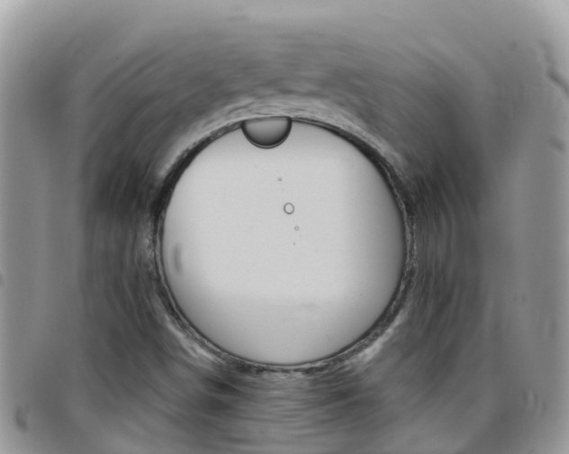 X0000096161498200801180840