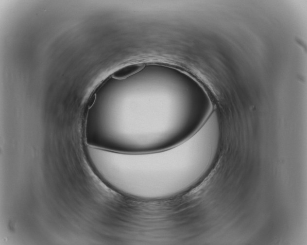X0000096161500200801180840