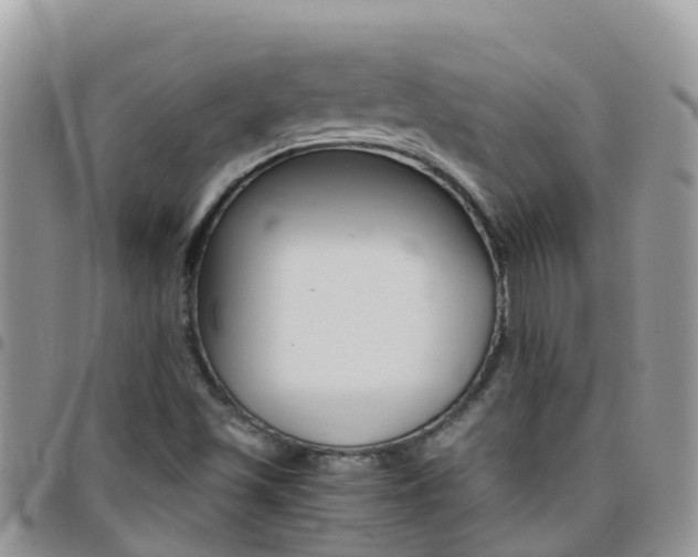 X0000096161501200801180840