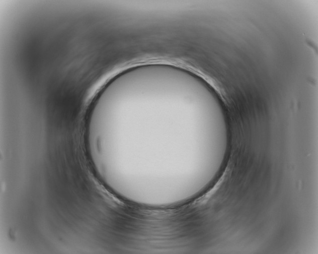 X0000096161502200801180840