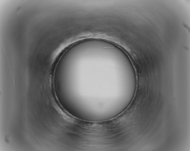 X0000096161503200801180840