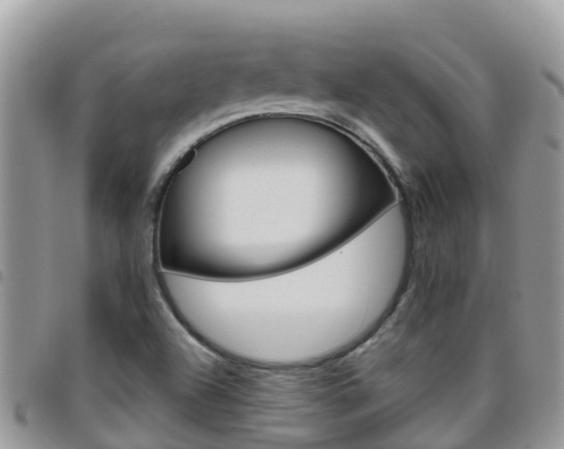 X0000096161504200801180840